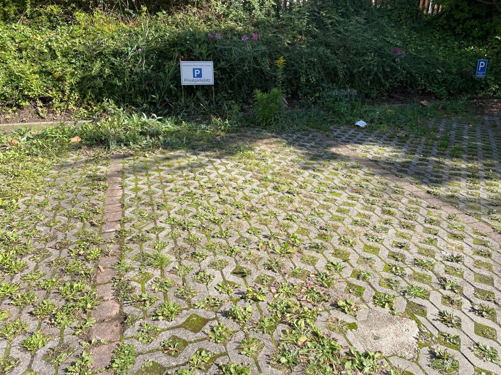 Apartment Im Elbtal Meissen-dresden *